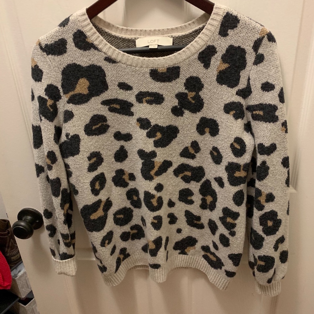 Jaguar Printed Sweater